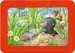 Malá zahradní zvířata 3x6 dílků 2D Puzzle;Dětské puzzle - obrázek 3 - Ravensburger