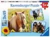 Puzzle dla dzieci 2D: Konie 3x49 elementów Puzzle;Puzzle dla dzieci - Ravensburger