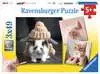 ŚMIESZNIE PORTRETY ZWIERZĄT 3X49EL Puzzle;Puzzle dla dzieci - Ravensburger