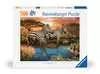 Puzzle 500 p - Zèbres au plan d eau Puzzles;Puzzles pour adultes - Ravensburger