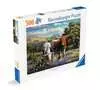 Loving Longhorns 500p Puzzles;Puzzles pour adultes - Ravensburger