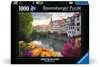 Ausflug nach Tübingen 1000p Puzzle;Puzzles adultes - Ravensburger