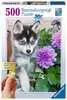 Cachorro de Husky Puzzles;Puzzle Adultos - Ravensburger