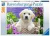 Sweet Golden Retriever Puslespill;Voksenpuslespill - Ravensburger