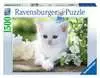 Gattino Bianco Puzzle;Puzzle da Adulti - Ravensburger