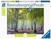 Bosco di betulle Puzzle;Puzzle da Adulti - Ravensburger