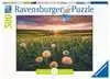 Pampelišky v západu slunce 500 dílků 2D Puzzle;Dětské puzzle - Ravensburger