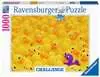 Challenge Puzzle: Kachny 1000 dílků 2D Puzzle;Puzzle pro dospělé - Ravensburger