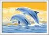 Delightful Dolphins Loisirs créatifs;Peinture - Numéro d’art - Ravensburger