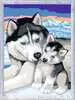 Cute Huskies Hobby;Schilderen op nummer - Ravensburger