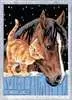 Stable Friends Loisirs créatifs;Peinture - Numéro d’art - Ravensburger