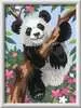 Playful Panda Hobby;Schilderen op nummer - Ravensburger