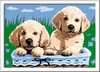 Cute Puppies Loisirs créatifs;Peinture - Numéro d’art - Ravensburger