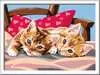 CreArt Serie D - Gatitos en la almohada Juegos Creativos;CreArt Niños - Ravensburger