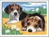 CreArt Serie D - Cachorros Jack Russell Juegos Creativos;CreArt Niños - Ravensburger