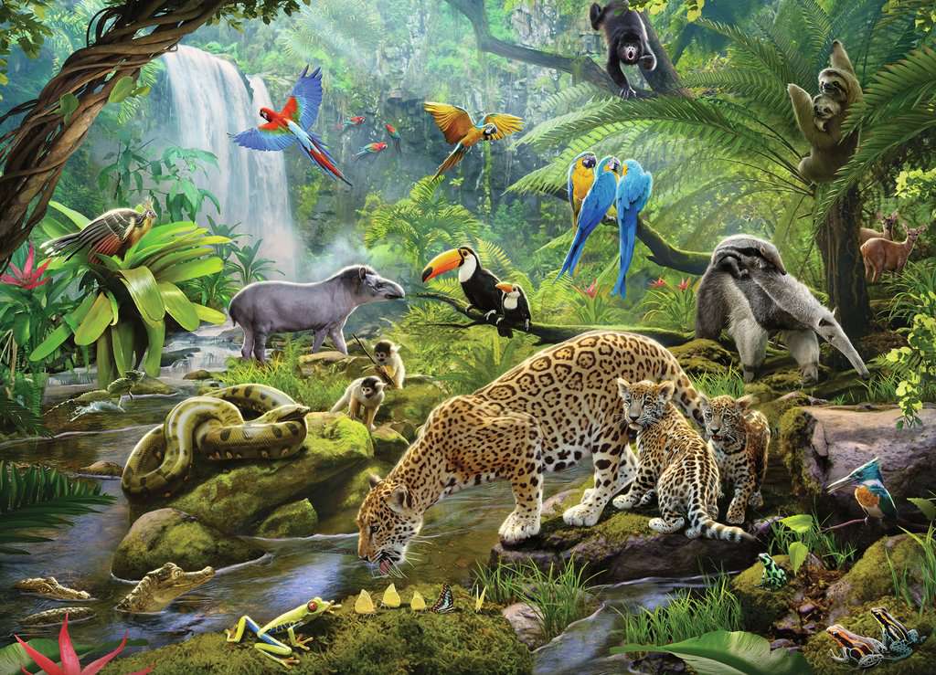 Rainforest Animals, Children's Puzzles, Jigsaw Puzzles, Products, ca_en