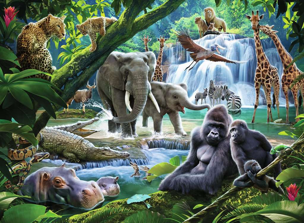 Rainforest Animals, Children's Puzzles, Jigsaw Puzzles, Products, ca_en