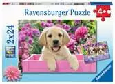 05029 1 かわいい子犬（24ピース×2） パズル;お子様向けパズル - Ravensburger