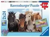 Fotky koní 2x24 dílků 2D Puzzle;Dětské puzzle - Ravensburger