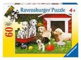 Šťastná štěňátka 60 dílků 2D Puzzle;Dětské puzzle - Ravensburger