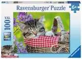 ŚPIĄCE KOCIAKI 100 EL. Puzzle;Puzzle dla dzieci - Ravensburger