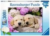Sladcí psi v košíku 300 dílků 2D Puzzle;Dětské puzzle - Ravensburger