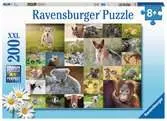 Koláž zvířecích mláďat 200 dílků 2D Puzzle;Dětské puzzle - Ravensburger