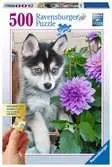 Cachorro de Husky Puzzles;Puzzle Adultos - Ravensburger