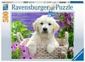 Sweet Golden Retriever Palapelit;Aikuisten palapelit - Ravensburger