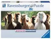DZIKIE KONIE PANORAMICZNE 1000EL Puzzle;Puzzle dla dorosłych - Ravensburger