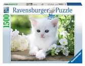 Bílé kotě 1500 dílků 2D Puzzle;Puzzle pro dospělé - Ravensburger