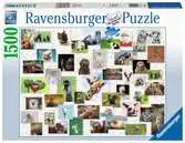 Collage di animali divertenti Puzzle;Puzzle da Adulti - Ravensburger