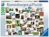 Funny Animals Collage     1500p Puslespil;Puslespil for voksne - Ravensburger