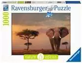 17208 5　マサイ・マラ国立公園の象 1000ピース パズル;大人向けパズル - Ravensburger