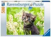 Puzzle 500 p - Chaton dans la prairie Puzzle;Puzzles adultes - Ravensburger