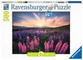 Vlčí boby 500 dílků 2D Puzzle;Puzzle pro dospělé - Ravensburger