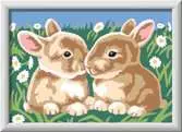 Fluffy Bunnies Loisirs créatifs;Peinture - Numéro d’art - Ravensburger