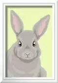 Gray Rabbit Loisirs créatifs;Peinture - Numéro d’art - Ravensburger