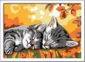 Autumn Kitties Hobby;Schilderen op nummer - Ravensburger