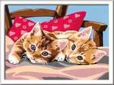 Two Cuddly Cats Loisirs créatifs;Peinture - Numéro d’art - Ravensburger