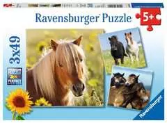 Puzzles 3x49 p - Adorables poneys - Image 1 - Cliquer pour agrandir