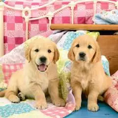 Cute Puppy Dogs - Billede 3 - Klik for at zoome