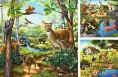 Forest/Zoo/Domestic Anim. 3x49p - Billede 2 - Klik for at zoome