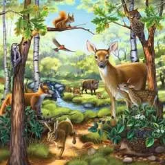 Forest/Zoo/Domestic Anim. 3x49p - Billede 3 - Klik for at zoome