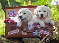 Travelling Pups XXL100 - Billede 2 - Klik for at zoome