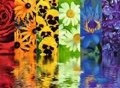 Reflets floraux - Image 2 - Cliquer pour agrandir