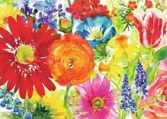 Fleurs Multicolores - Image 2 - Cliquer pour agrandir