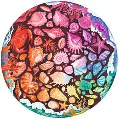 Circle of Colors Seashells - image 2 - Click to Zoom