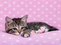 Roztomilé koťátko na růžové dece 200 dílků - obrázek 2 - Klikněte pro zvětšení