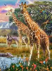 Giraffes in Africa        150p - Kuva 2 - Suurenna napsauttamalla